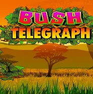 Bush Telegraph на Chempion